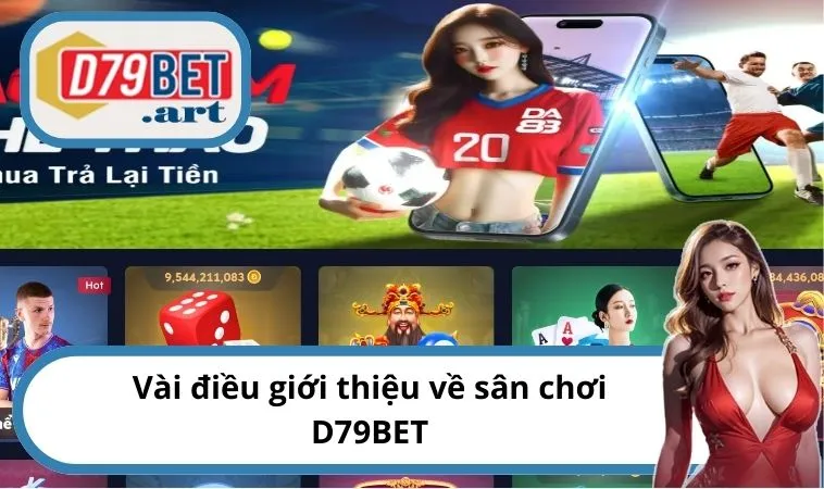 Vài điều giới thiệu về sân chơi D79BET